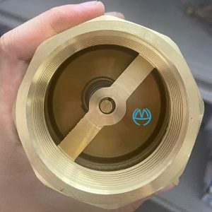 van 1 chiều lò xo mbv