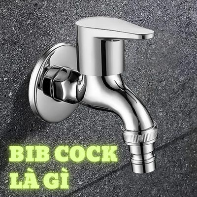 bib cock là gì