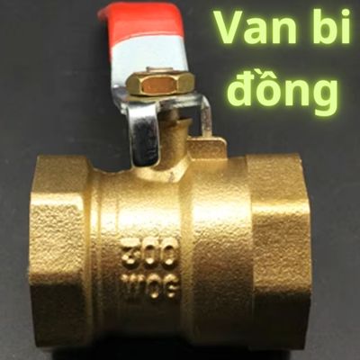 van bi đồng
